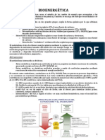 Bioenergética PDF