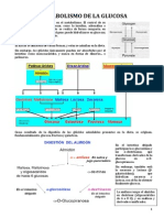 3.- Metabolismo de la glucosa.pdf
