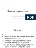 Production of Microbial Rennet