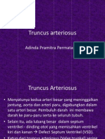 Truncus Arteriosus Dinda