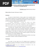 A Sistematizacao Da Assitencia de Enfermagem Em Um Paciente Com Bronquite