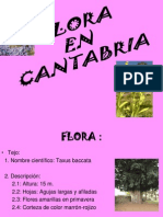 flora-cantabria