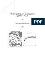 Marco A.alfaro, Microergodicidad y Simulaciones