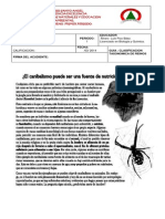 Clasificacion Taxonomica