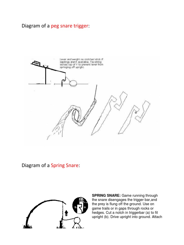 Diagrams of snares, traps, and nets for catching small game and