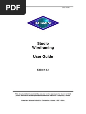 Datamine Wireframe