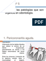 ciclo urgencias minsal