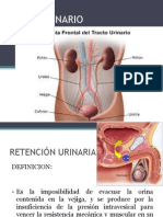 Sistema Urinario