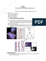 Curs 1 Genetic A