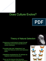 Does Culture Evolve-Anth 111