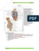 7 - Rodilla CCC