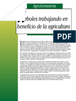 Agricultura Ecologica - Agroforestería