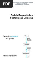 Cadeia respiratória e fosforilação oxidativa