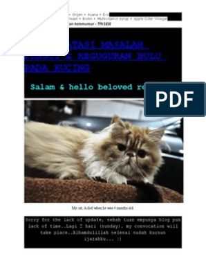 Bulu Kucing  PDF