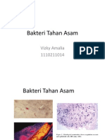 Bakteri Tahan Asam