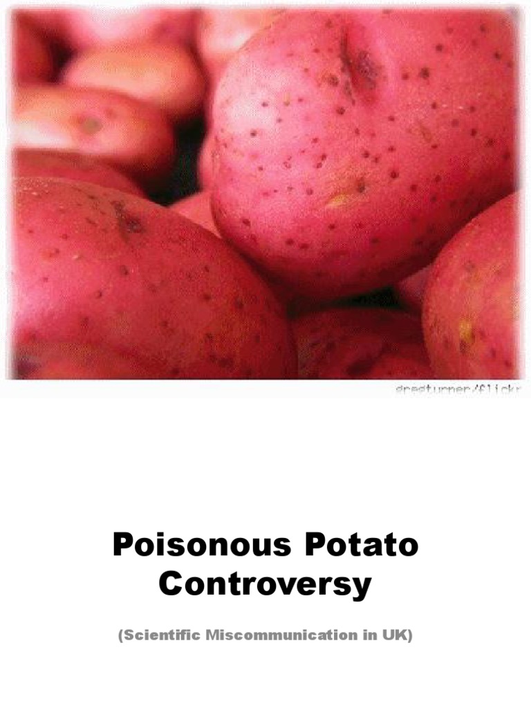 Poisonous Potato Controversy Earth & Life Sciences Life Sciences