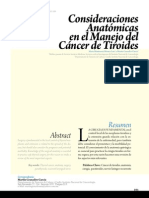 Consideraciones de la anatomía en el cancer de laringe