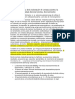 Biolixiviación Fúngica de La Incineración de Cenizas Volantes