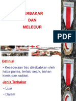 Terbakar Dan Melecur