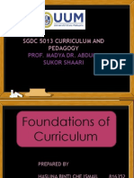 Foundations of Curriculum