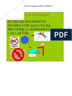 Cartel Del Dengue