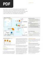 BG Databook 2013 India