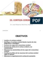 23 Corteza Cerebral