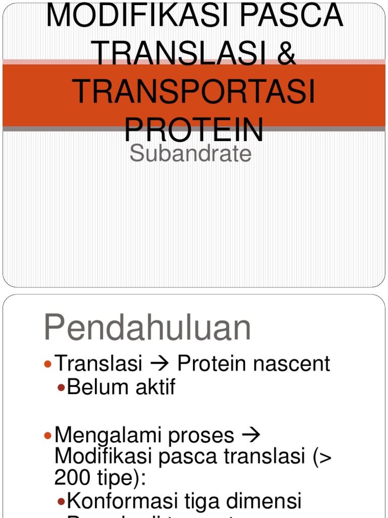 7 Modifikasi Pasca Translasi Transport Sub