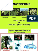 Gymnosperms: Evolution of "Naked" Seed-Plants