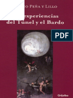 LAS EXPERIENCIAS DEL TUNEL Y EL BARDO-SERGIO PEÑAYLILLO