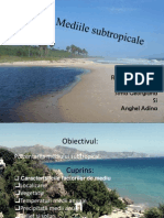 Mediile Subtropicale