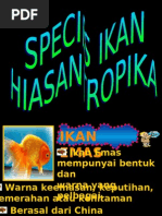 Takwim Tahunan Panitia Kemahiran Hidup Pdf