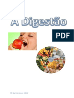 Digestão de alimentos no tubo digestivo