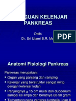 PENGOBATAN GANGGUAN PANKREAS