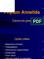 Clankovite gliste