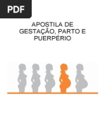 Apostila de Gestacao Parto e Puerperio