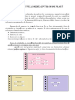 CIRCUITUL INSTRUMENTELOR DE PLATĂ