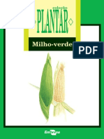 Milho Verde (1)