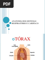 2013 Coraçao e sistemas pulmonar (1)