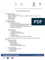 Model Plan de Afaceri