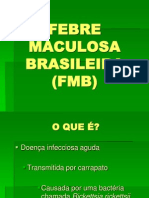 Febre Maculosa Brasileira (FMB)