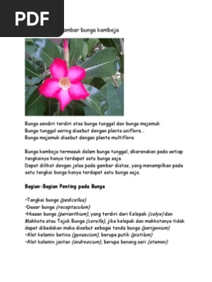 Fantastis 28 Gambar Bunga Dan Bagian Bagiannya Gambar Fantastis 28 Gambar Bunga Dan Bagian Bagiannya Gambar