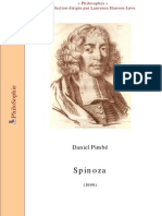 spinoza_pimbe - Copie.pdf