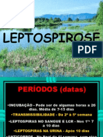 Leptospirose