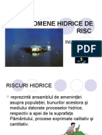 Fenomene Hidrice de Risc