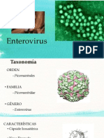 Enter o Virus