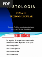 Tecido Muscular e Nervoso