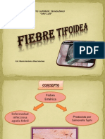 Tema 22 Fiebre Tifoidea