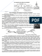 Alguns Aspectos Da Vida Em Sociedade