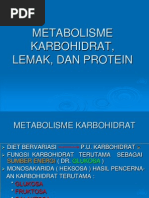 Download 11 METABOLISME Karbohidrat Lemak Protein by Aswaja Cinta SN214067083 doc pdf
